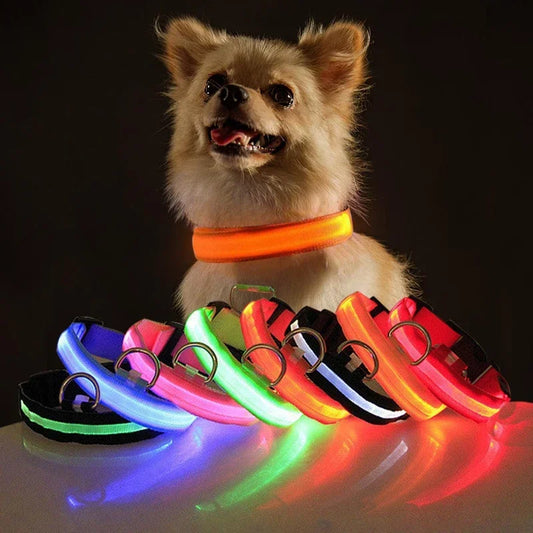 Flashing Glow Dog Collar