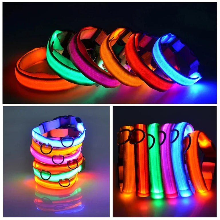 Flashing Glow Dog Collar