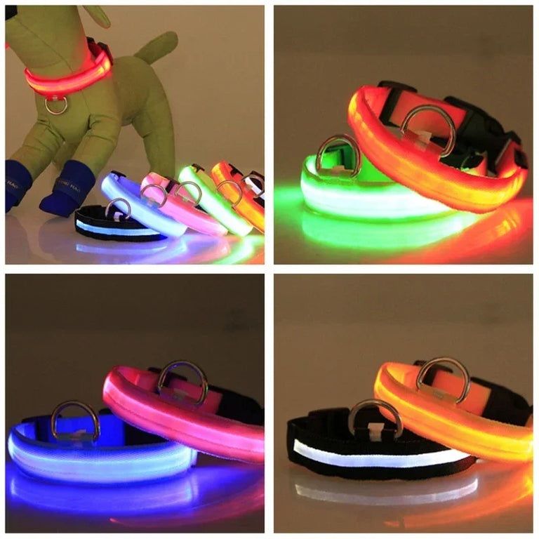 Flashing Glow Dog Collar