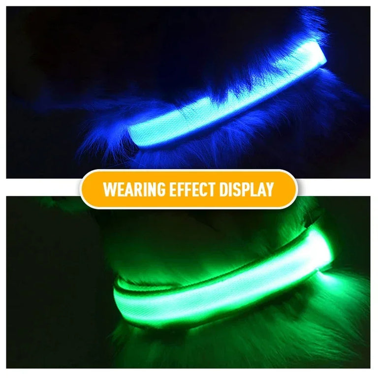 Flashing Glow Dog Collar